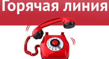 «Горячая линия» по вопросам качества и безопасности детских товаров и выбора новогодних подарков «Горячая линия» по вопросам качества и безопасности детских товаров и выбора новогодних подарков.