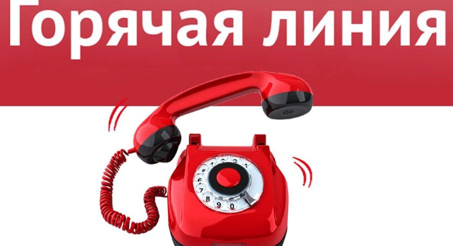 «Горячая линия» по вопросам качества и безопасности детских товаров и выбора новогодних подарков «Горячая линия» по вопросам качества и безопасности детских товаров и выбора новогодних подарков.